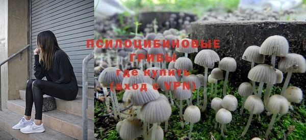 бутират Ростов